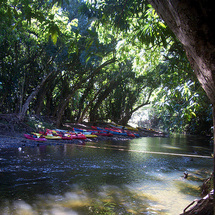 River Kayak Tour - Adult