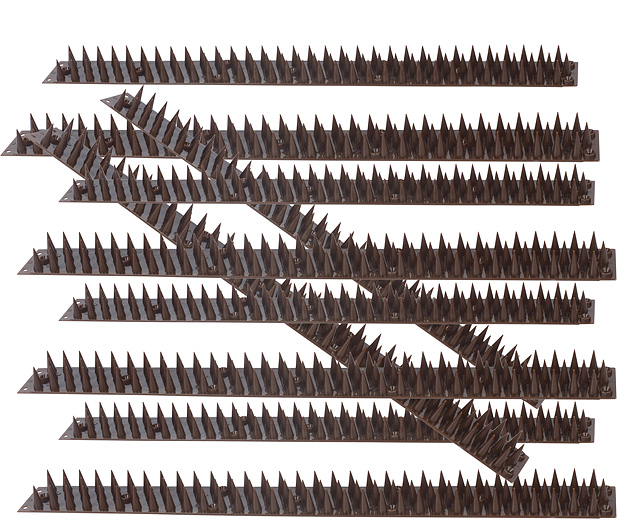 and Windowsill Spikes - Brown(10)