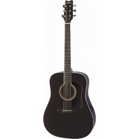 Washburn D10S Acoustic Guitar Black