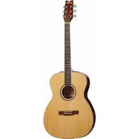 Washburn F10S Acoustic Guitar