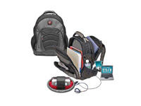 The Synergy 15.4 Computer Backpack