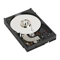 Western Digital 250GB hard disk drive Caviar 8MB 7200rpm ATA100 Fluid Bearings oem (JB)