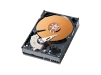 Caviar SE WD3200JB - hard drive - 320 GB - A