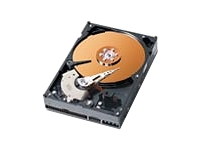 Western Digital Caviar SE WD400BD - hard drive - 40 GB - SAT
