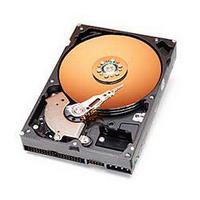 WD Caviar Hard Disk Drive 40GB EIDE ATA 100 2MB