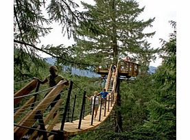 Whistler Tree Trek Canopy Walk - Child