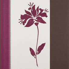Wilkinson Plus Kynzo Stripe with Flower Wallpaper Magnolia and