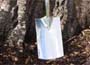 Stainless Steel Border Spade Promotion