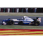 Williams Renault FW17 David Coulthard 1995