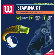 Wilson Stamina DT Tennis String