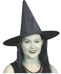 Witch Hat 16 inch Nylon with Hair