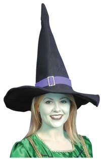Witch Hat Fabric with Purple Band
