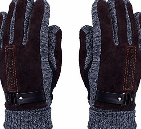 WITERY Mens Winter Leather Gloves - WITERY Thick Warm Fleece Windproof Gloves Cold Proof Thermal Mittens - Ideal for Dress Driving Cycling Motorcycle Camping etc Coffee