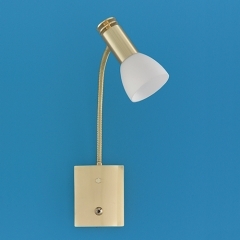 Wofi Lighting Don Brass Flexible Arm Table Lamp