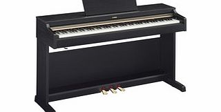 Arius YDP162B Digital Piano Black Walnut