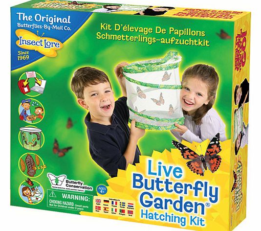 Live! Butterfly Garden - Each