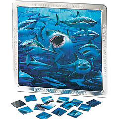 3D Magnetic Shark Puzzle