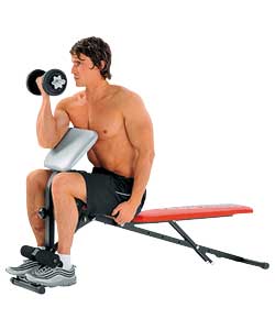 Aspire 2 in 1 Dumbbell and Ab Bench with