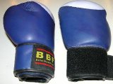 Zaima Boxing Gloves - COOL PURPLE - 10oz