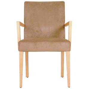 Zenith Occasional Chair- Mink